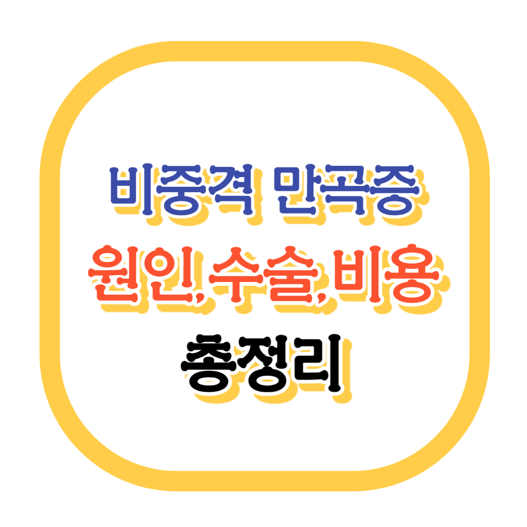 비중격 만곡증 병원 코 성형 수술 비용 실비보험