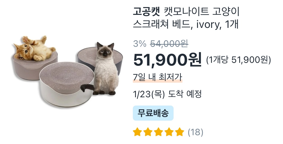 냥모나이트 캣모나이트 고공캣