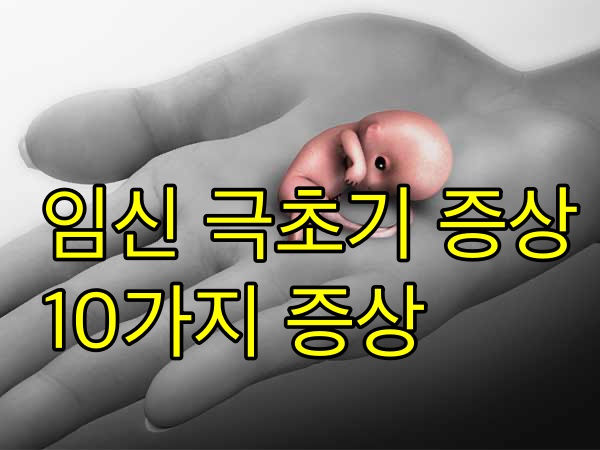  임신 극초기 증상 9가지 그리고 대처방법