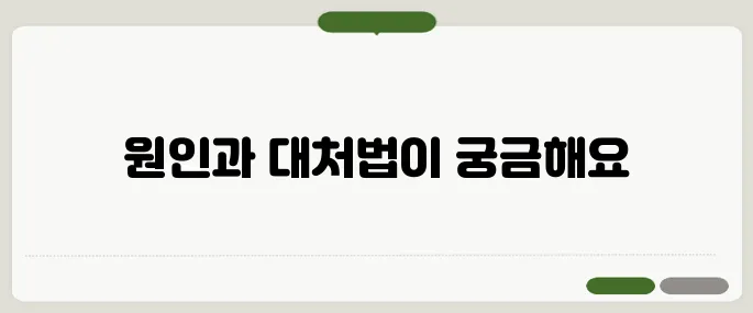 갑자기 배가 아프고 식은땀이 날 때 원인과 대처법