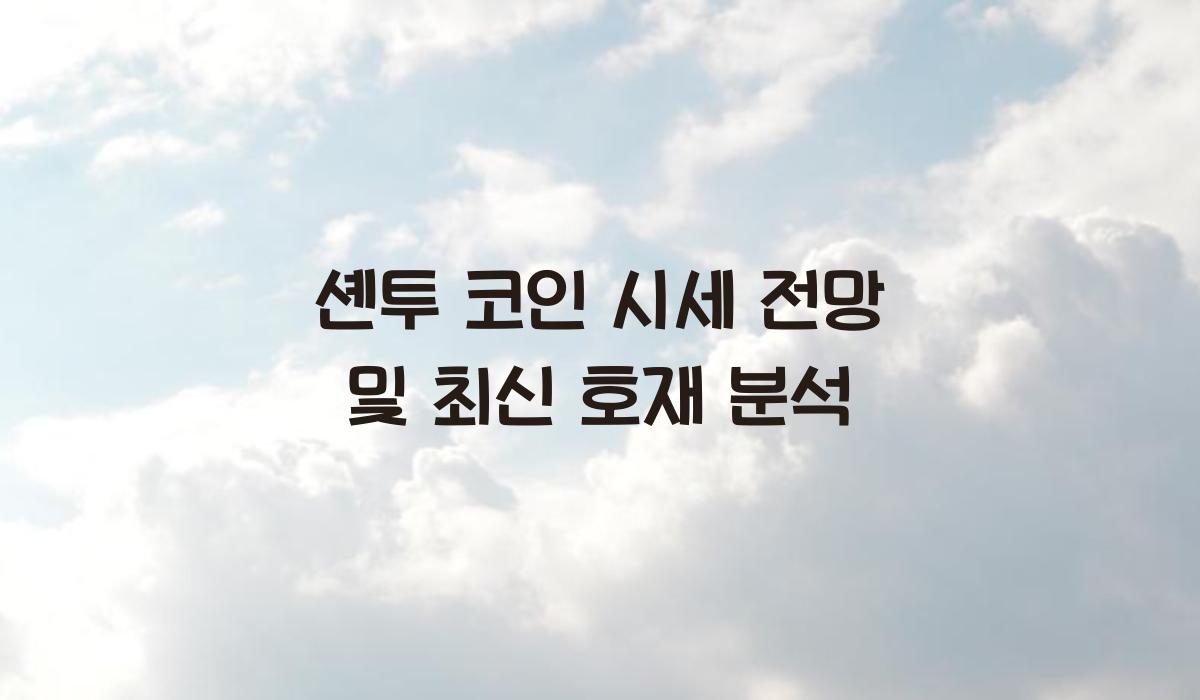 셴투 코인 시세 전망  