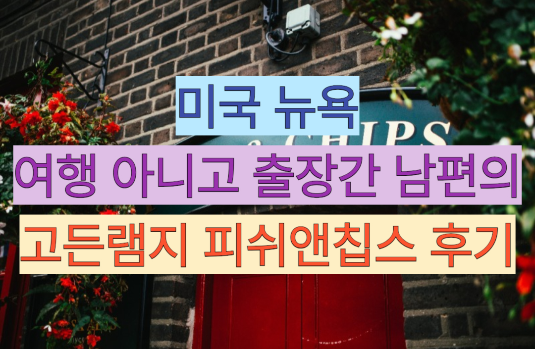 뉴욕