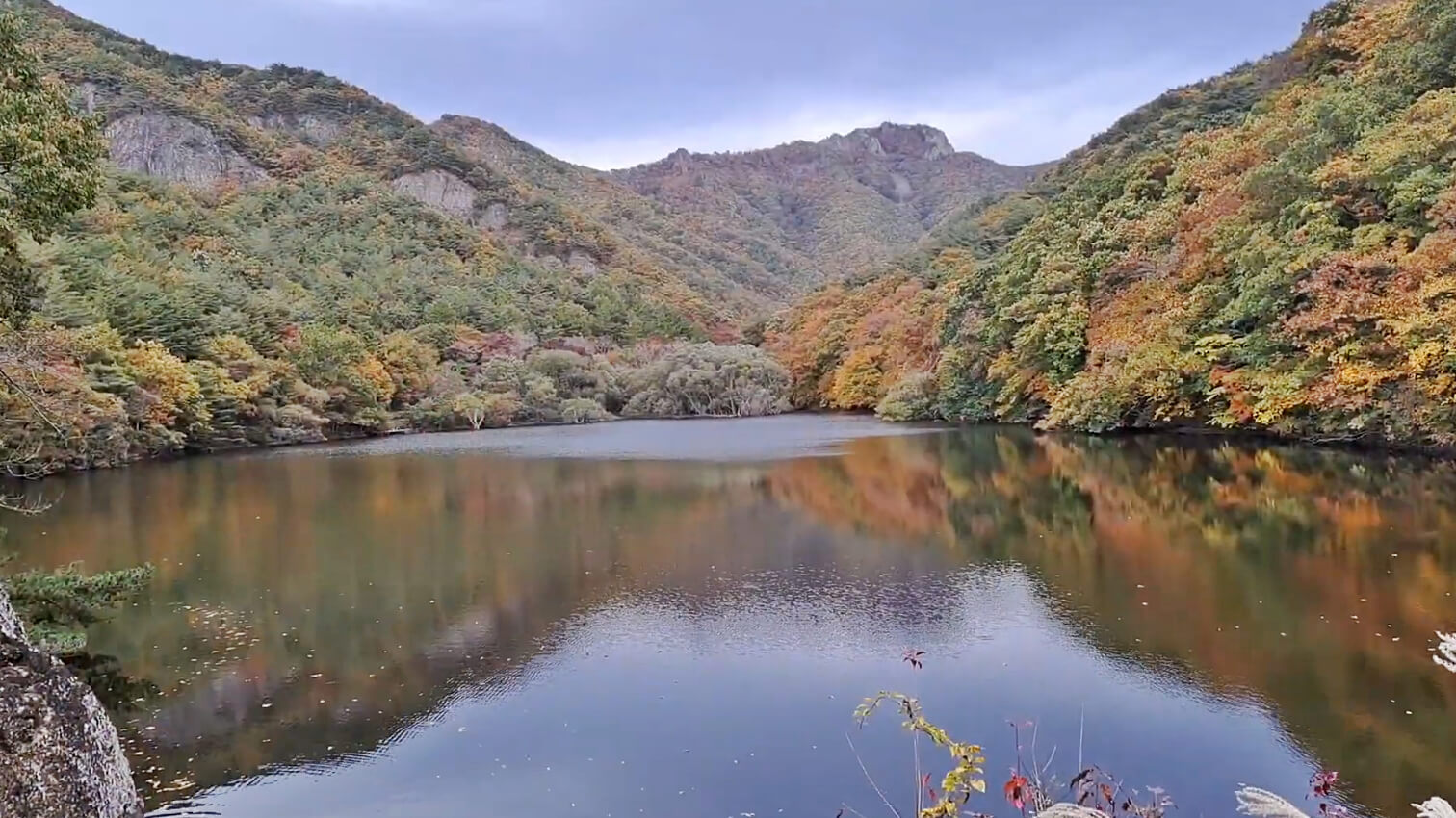 주산지