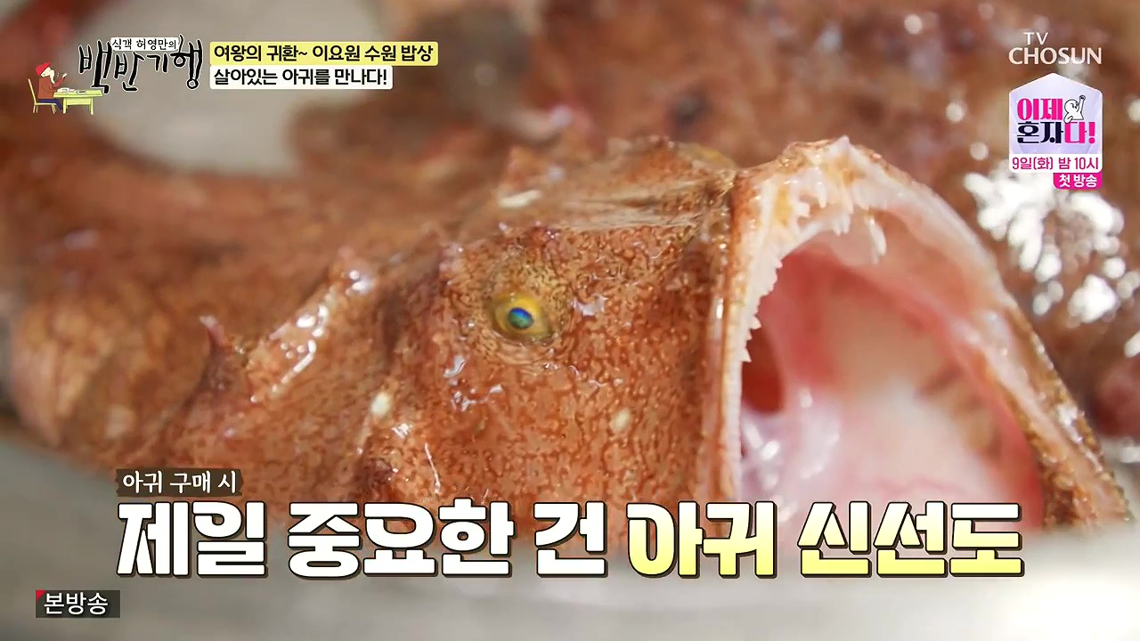 식객 허영만의 백반기행.E255.240708p-NEXT.mp4_20240708_193820.829.jpg