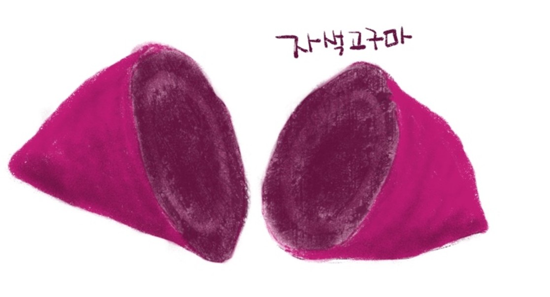 자색 이미지