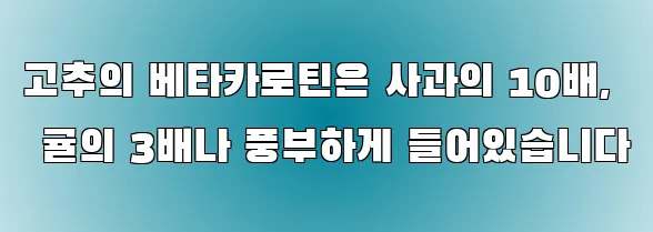 고추의 베타카로틴은 사과의 10배, 귤의 3배나 풍부하게 들어있습니다