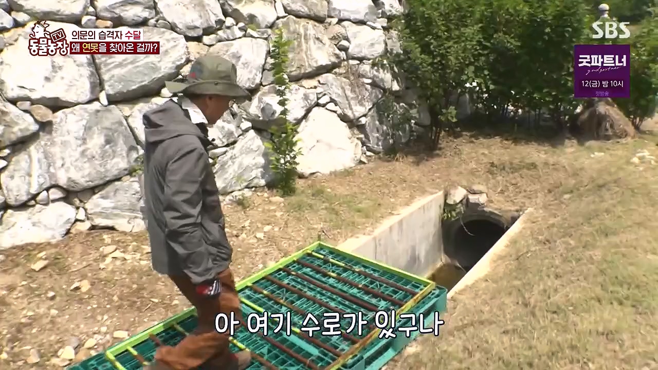 TV 동물농장.E1178.240630.ts_20240630_164648.989.jpg