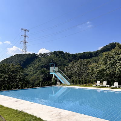 숲너울 카페