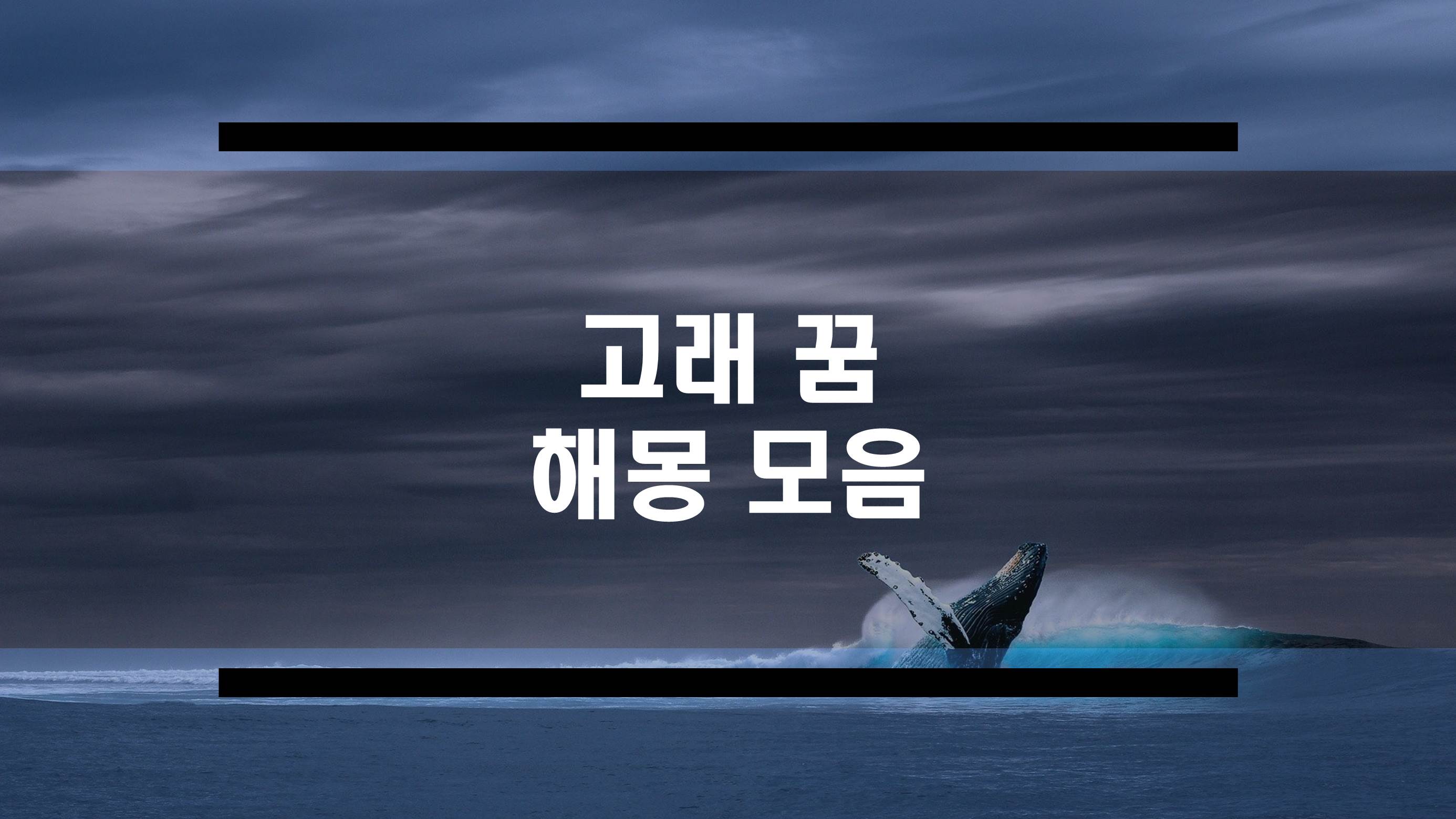 고래꿈 해몽 모음 (고래 보는 꿈, 고래 타는 꿈, 고래 태몽 등 )