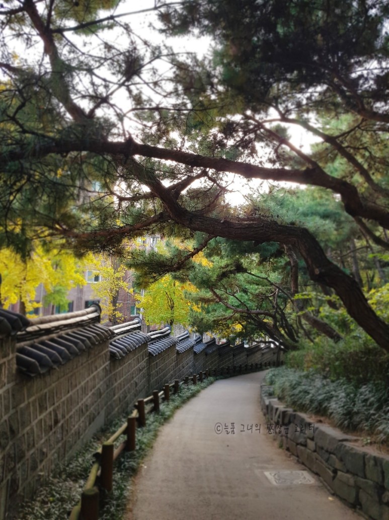 이해인 시모음 [좋은시 추천] 짧은시