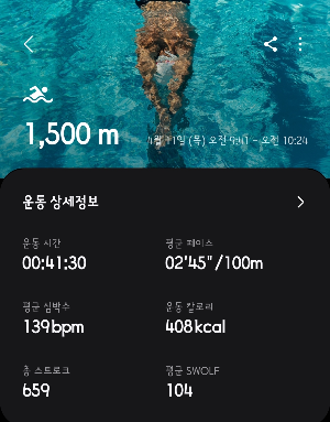 나의 수영 운동 기록