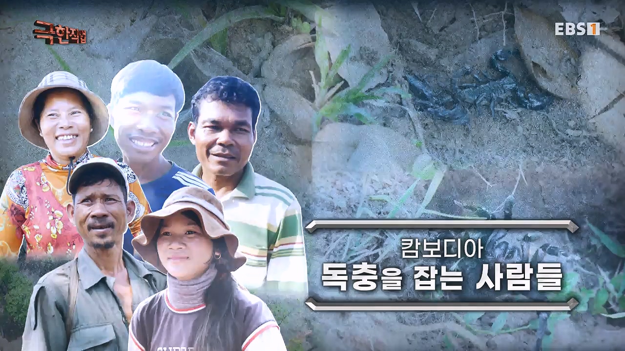 TV - 전 국민의 평생학교 EBS캄보디아 - 독충을 잡는 사람들.mp4_20230501_170710.080.jpg