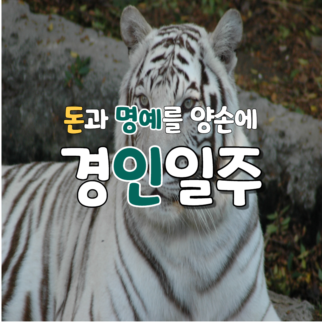  27. 돈과 명예를 양손에, 경인일주