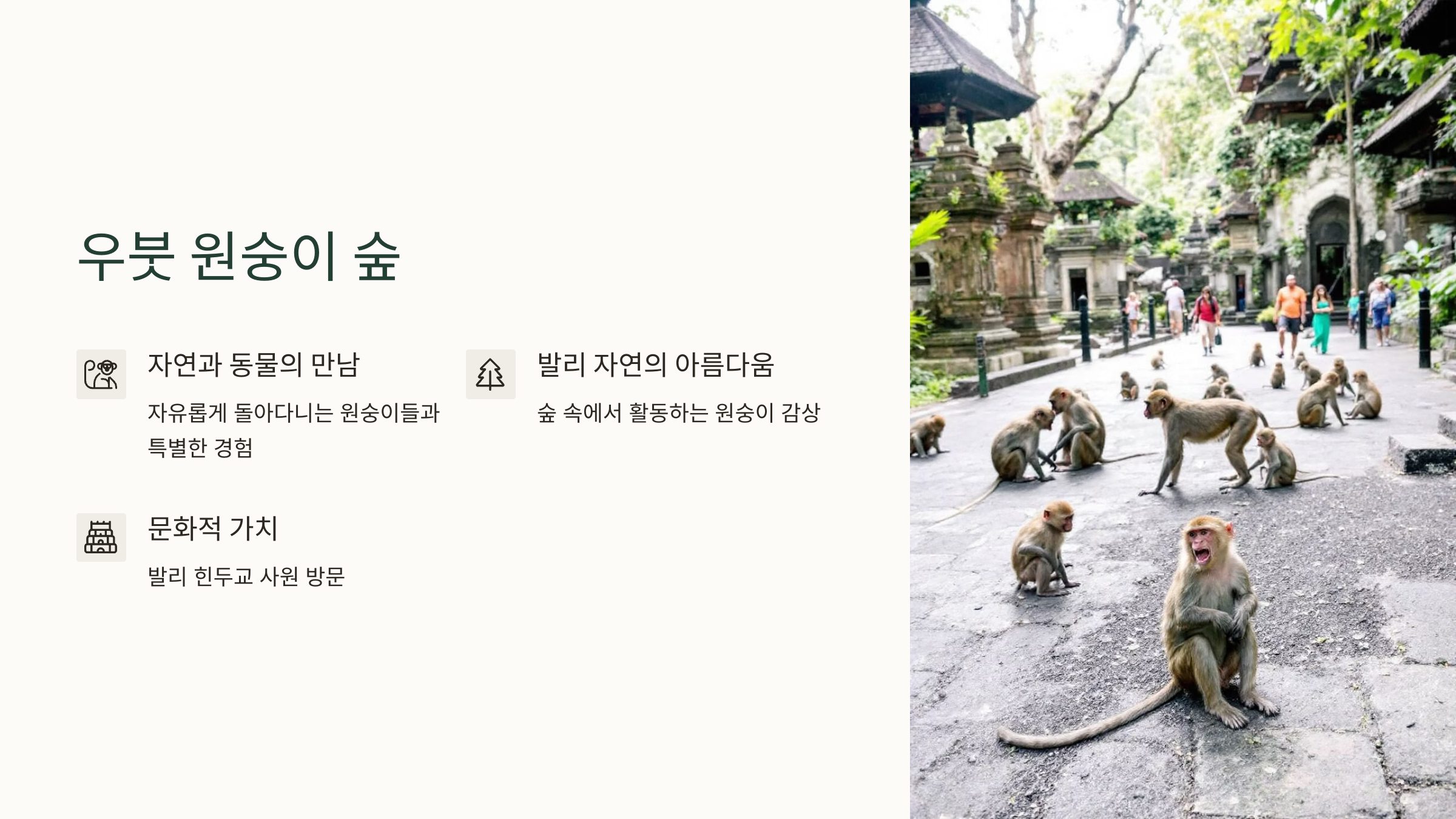 네버엔딩인발리투어 이미지