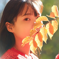 밈(MIM) 이미지