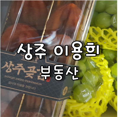  상주시 토지 , 아파트 , 원룸 상가 매매 및 임대 중개는 이용희 부동산