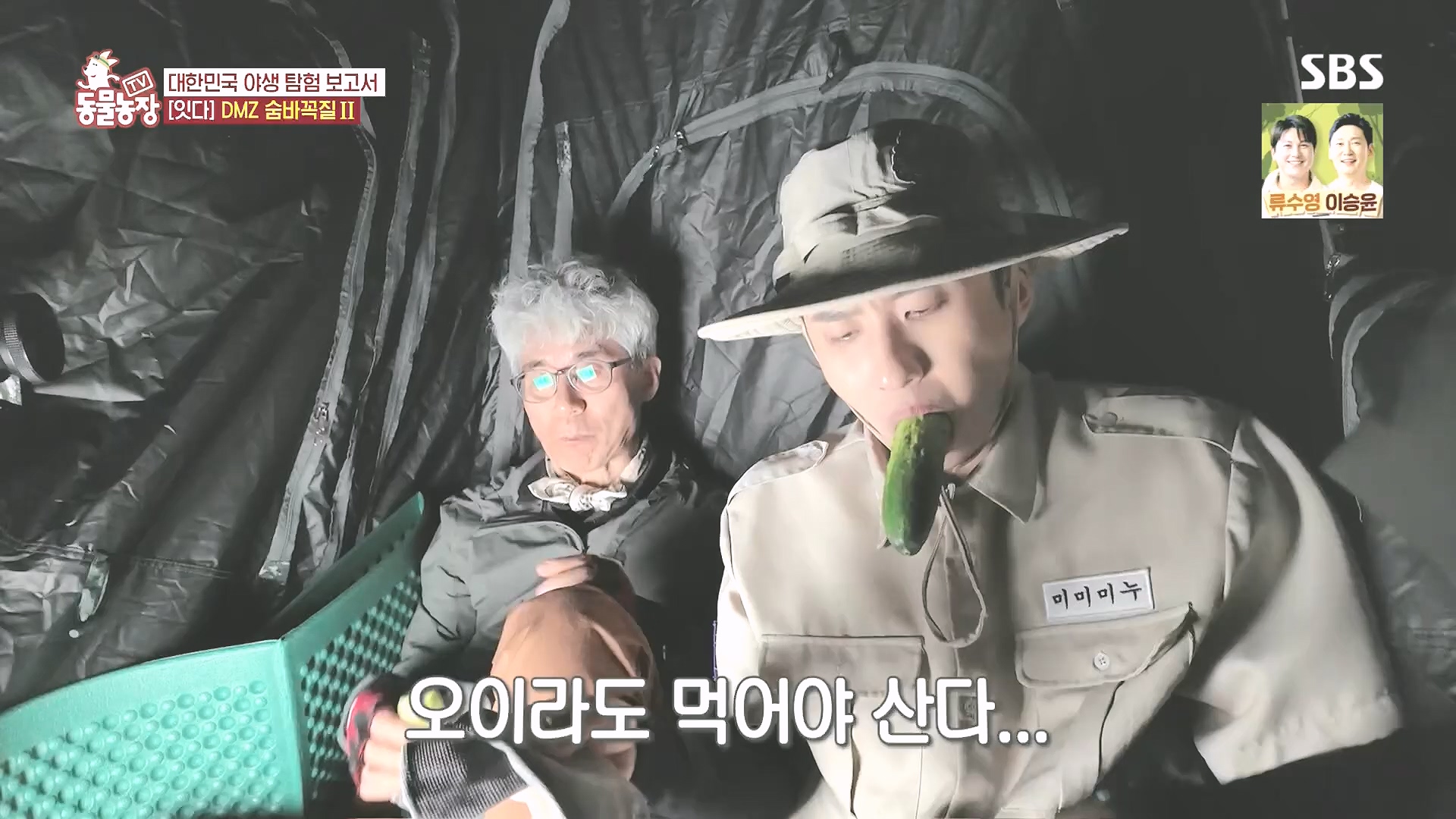 TV 동물농장.E1185.240818p.H264-F1RST.mp4_20240818_161607.237.jpg