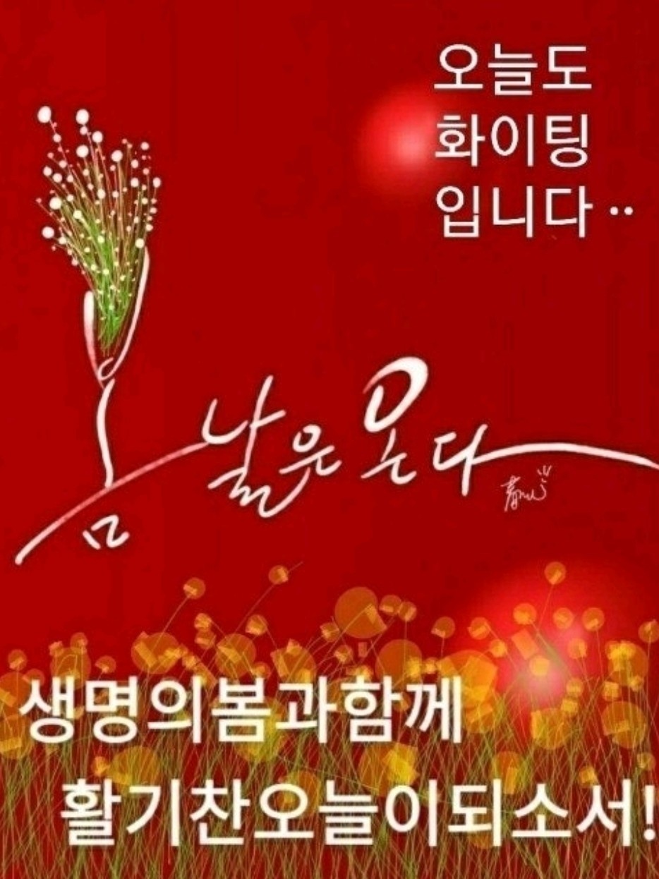 홍어1번지 이미지