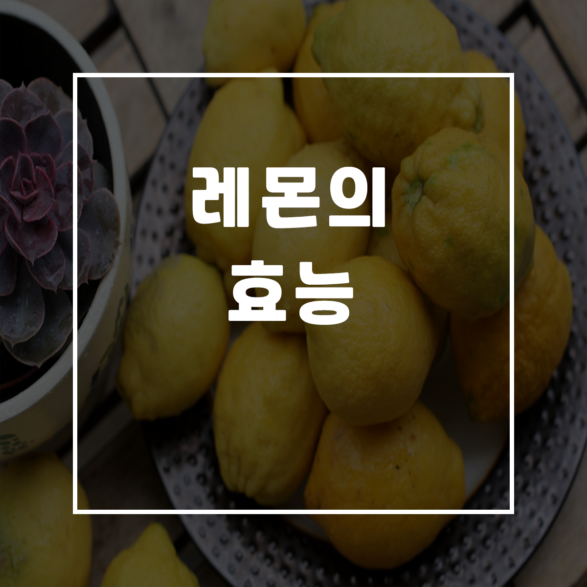  레몬의 효능
