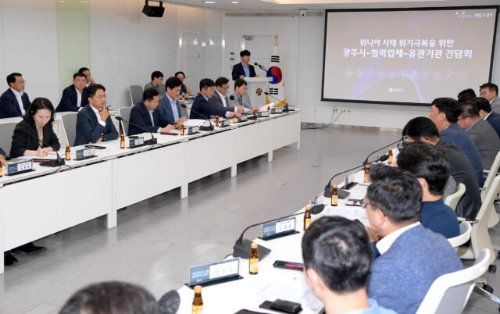 딤채 부도