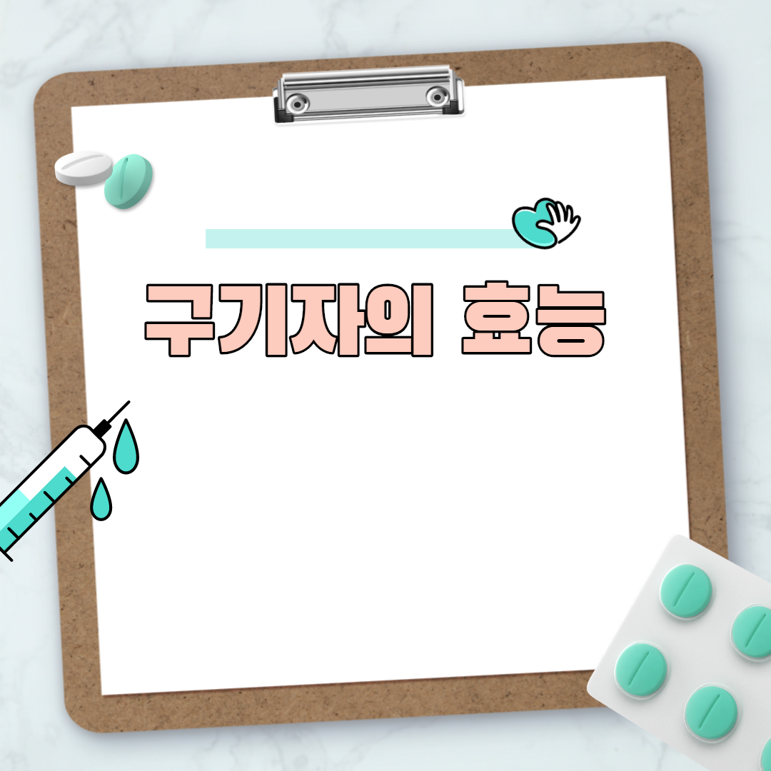 구기자의 효능