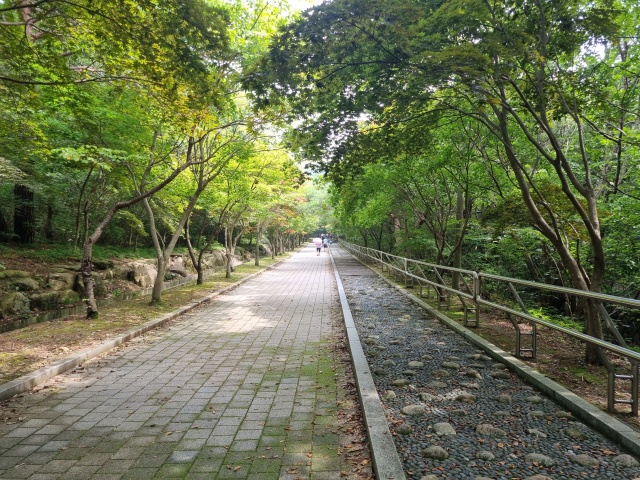 산책로
