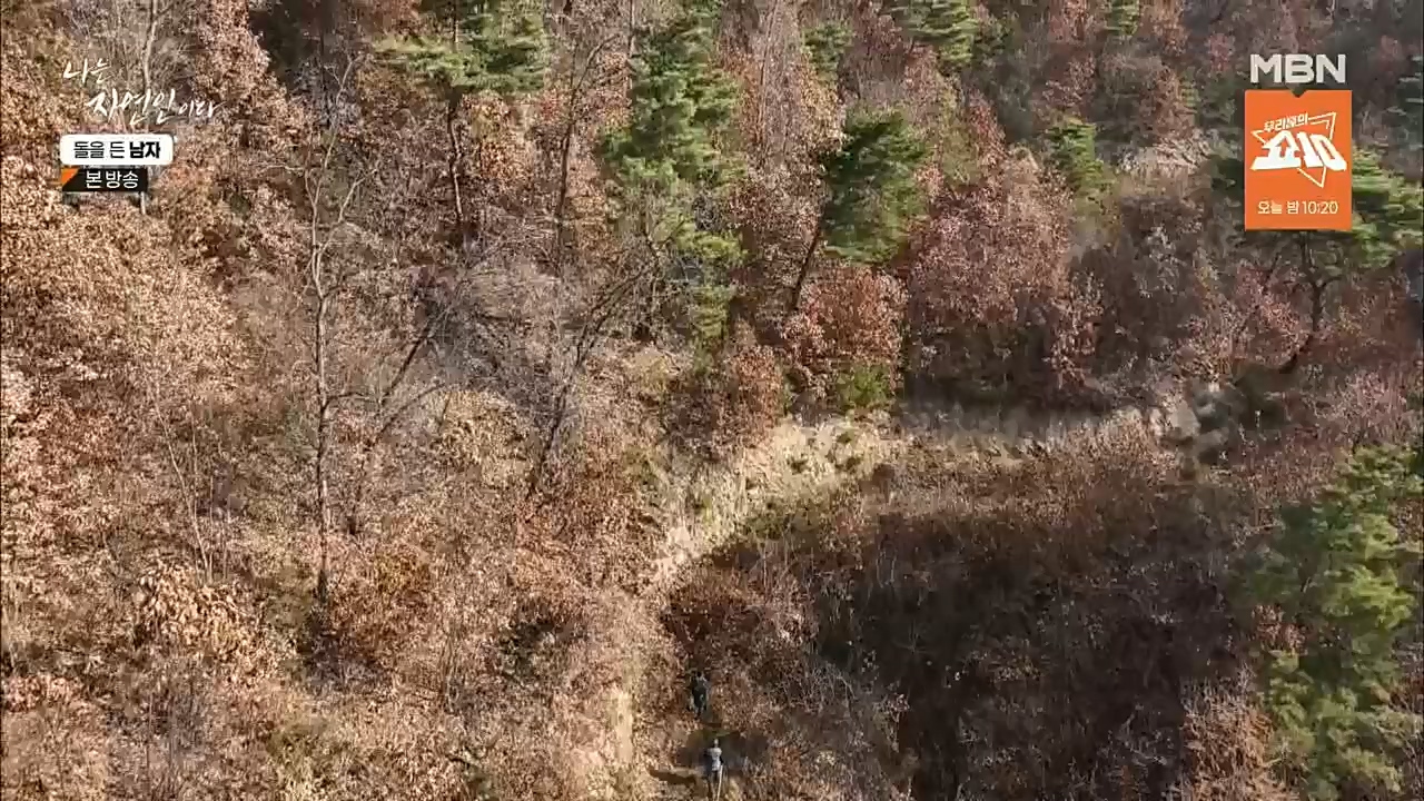 나는 자연인이다.E532.221215p.H264-F1RST.mp4_20221215_194311.692.jpg