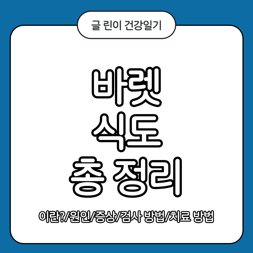 바렛 식도