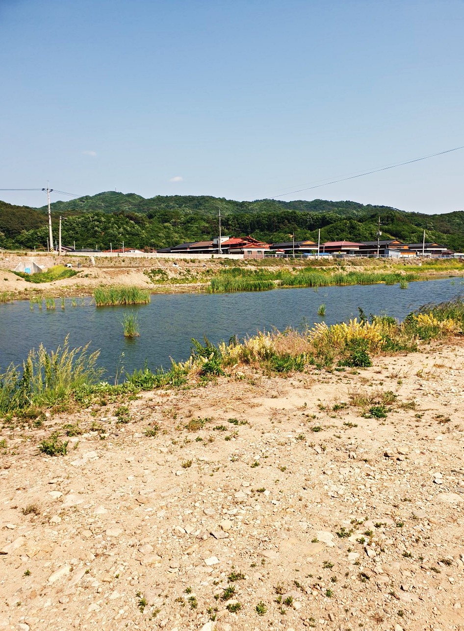 유구-천변