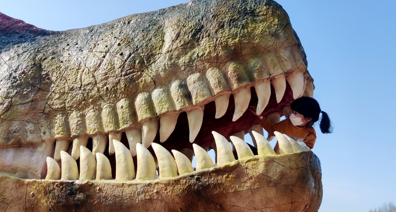 쿠앙이가 공룡 모형 이빨사이로 얼굴을 빼꼼내민 모습