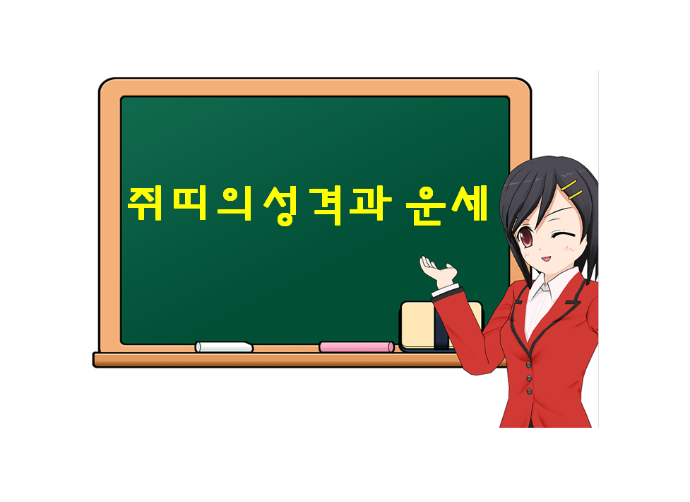  쥐띠의 성격과 운세, 알아둬야 하는 이유는?