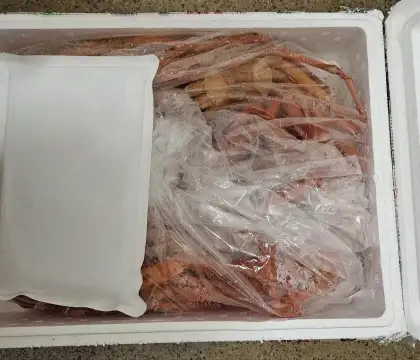 홍게-제철배송상태