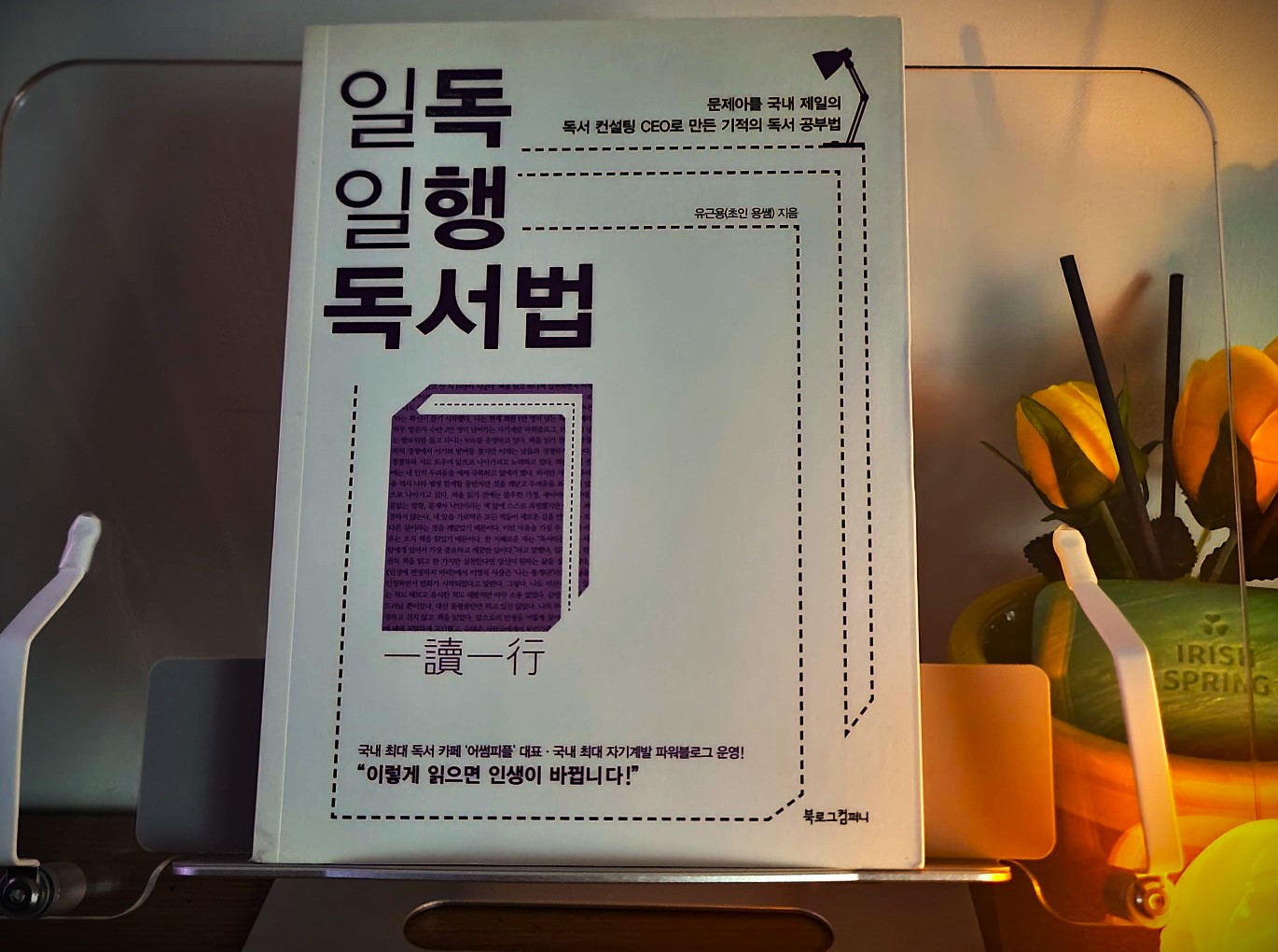 일독일행 독서법