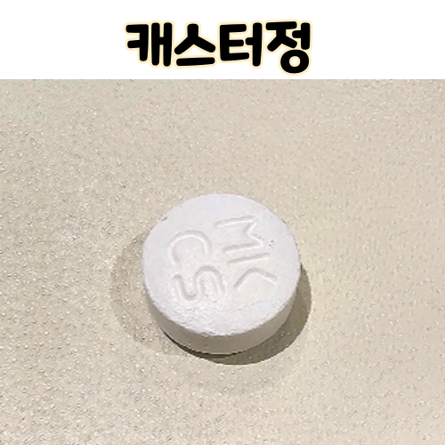  캐스터정 세균감염증 치료제 MK CS