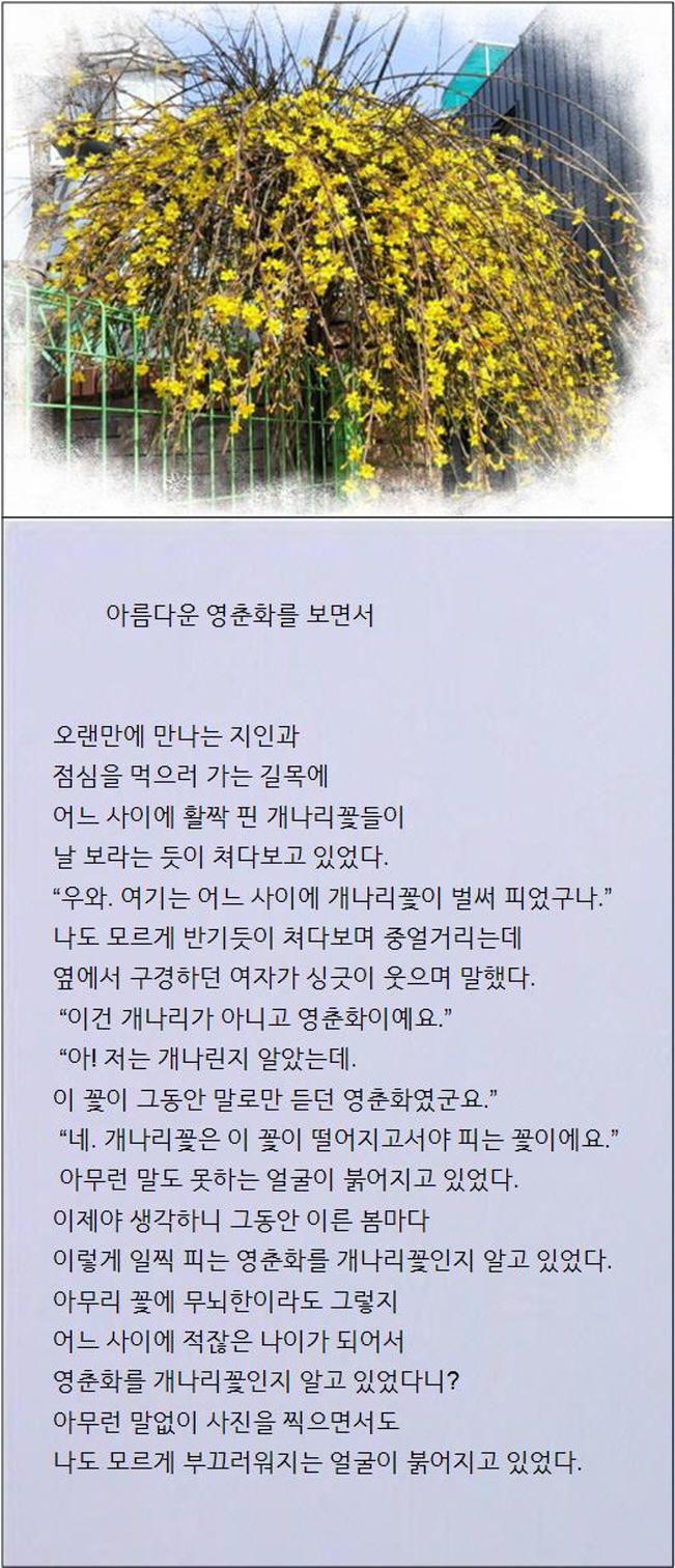 영춘화루 이미지