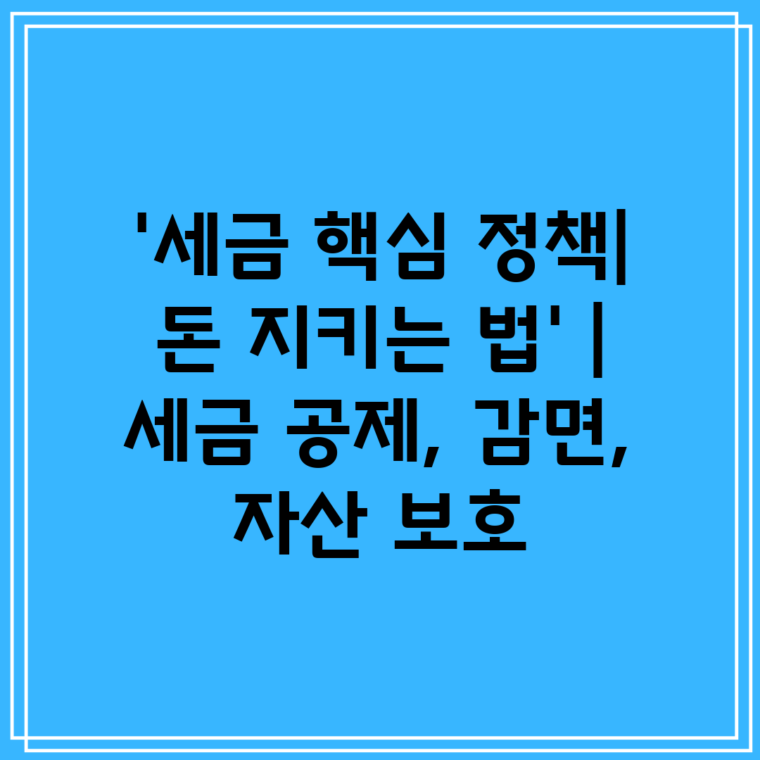 '세금 핵심 정책 돈 지키는 법'  세금 공제, 감면,