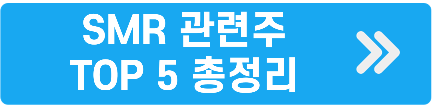 미국SMR관련주 Top5