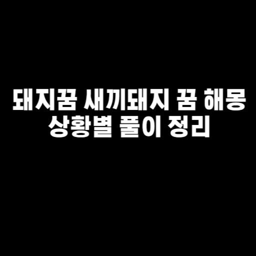 돼지꿈 새끼돼지 꿈 해몽 상황별 풀이 정리