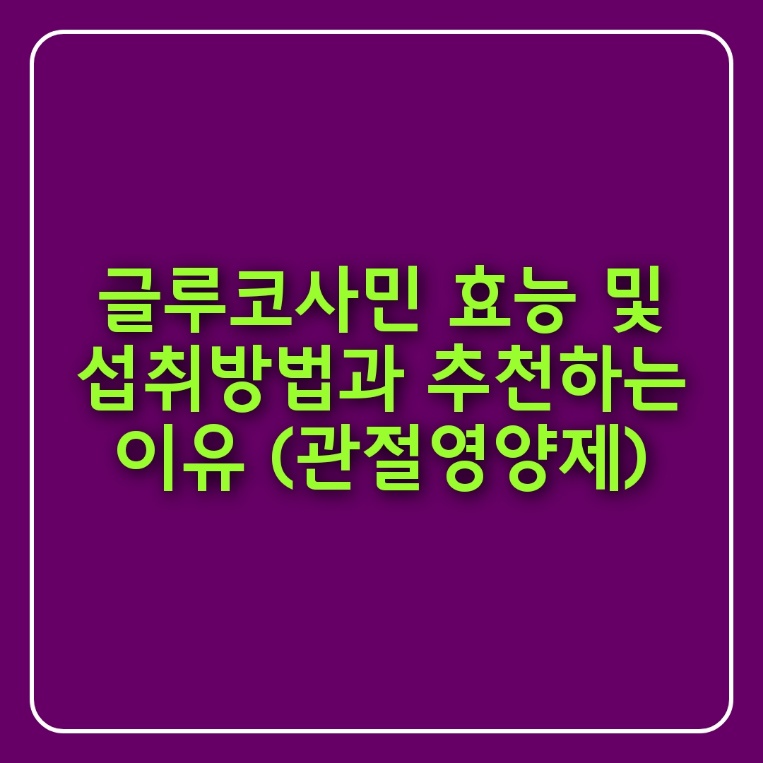 글루코사민 관절영양제