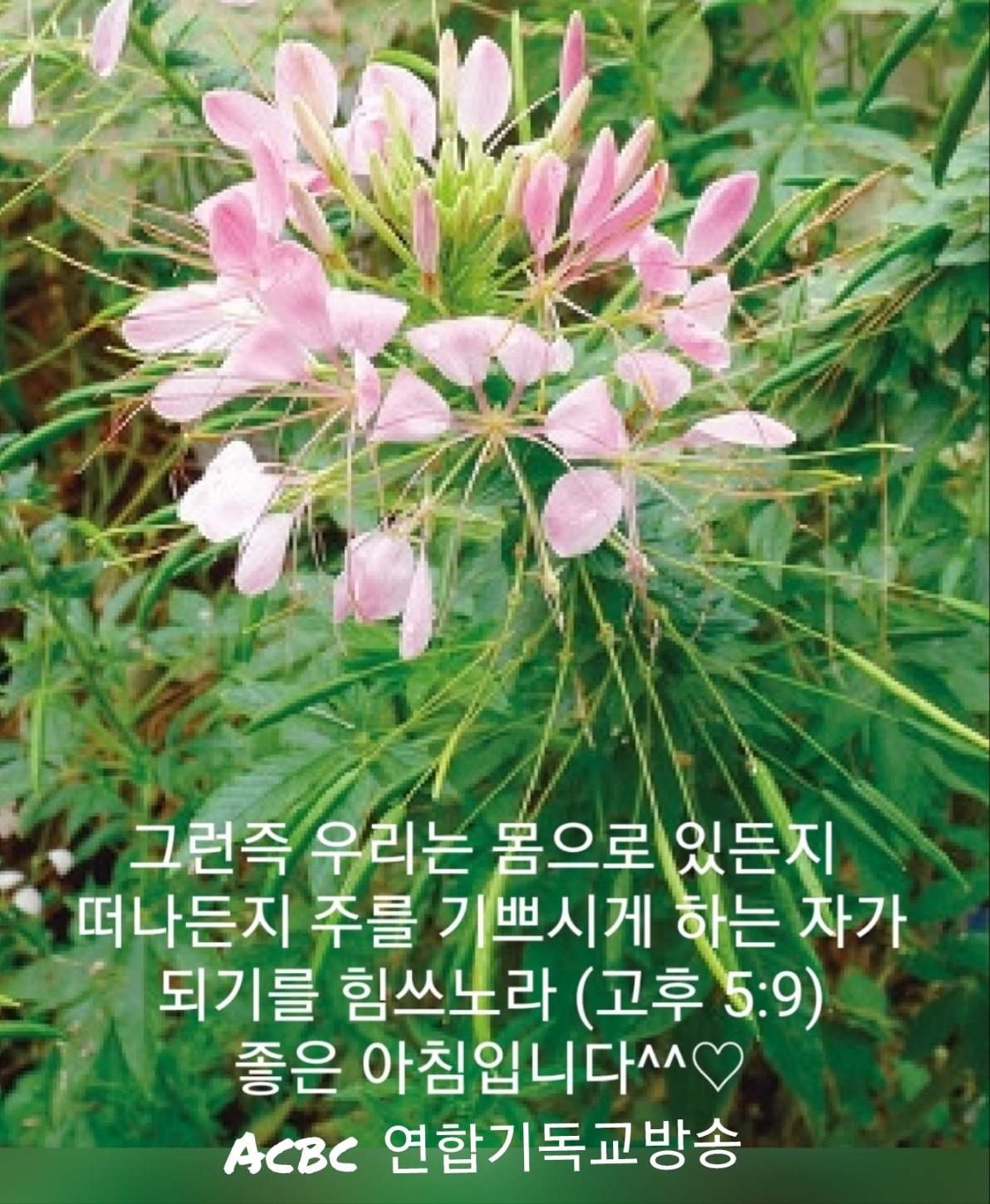 롬 26-28 3