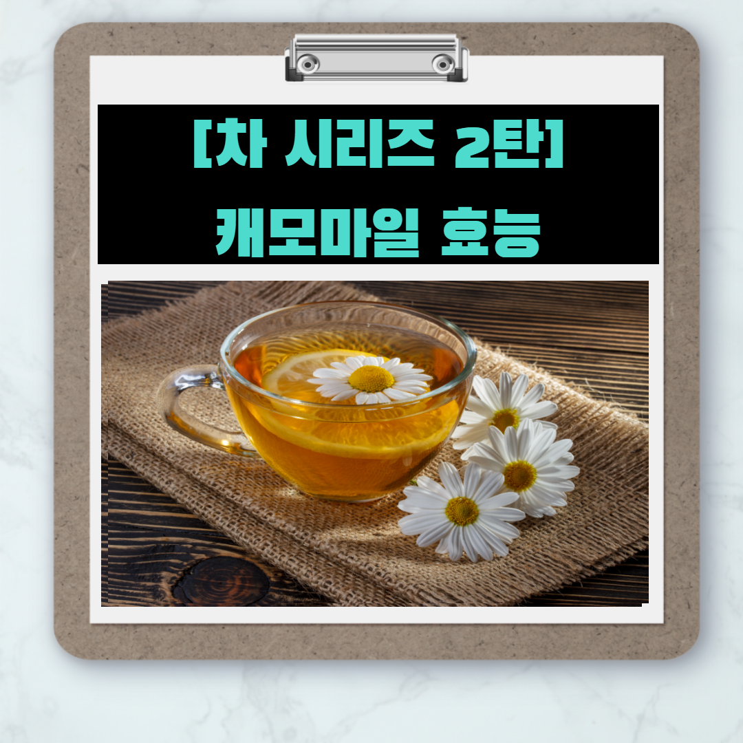 [차 시리즈 2탄] 캐모마일 효능7가지 및 먹는방법