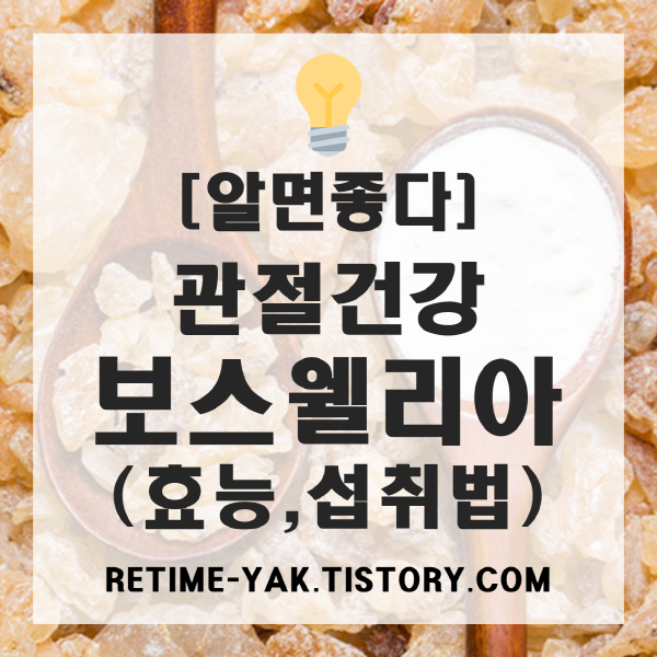  [알면좋다] 보스웰리아, 관절 건강의 모든 것!(효능, 섭취법, 부작용)