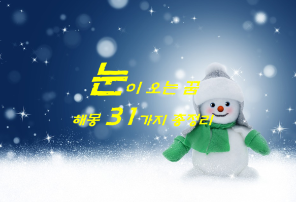  눈 오는 꿈 해몽 31가지 총정리