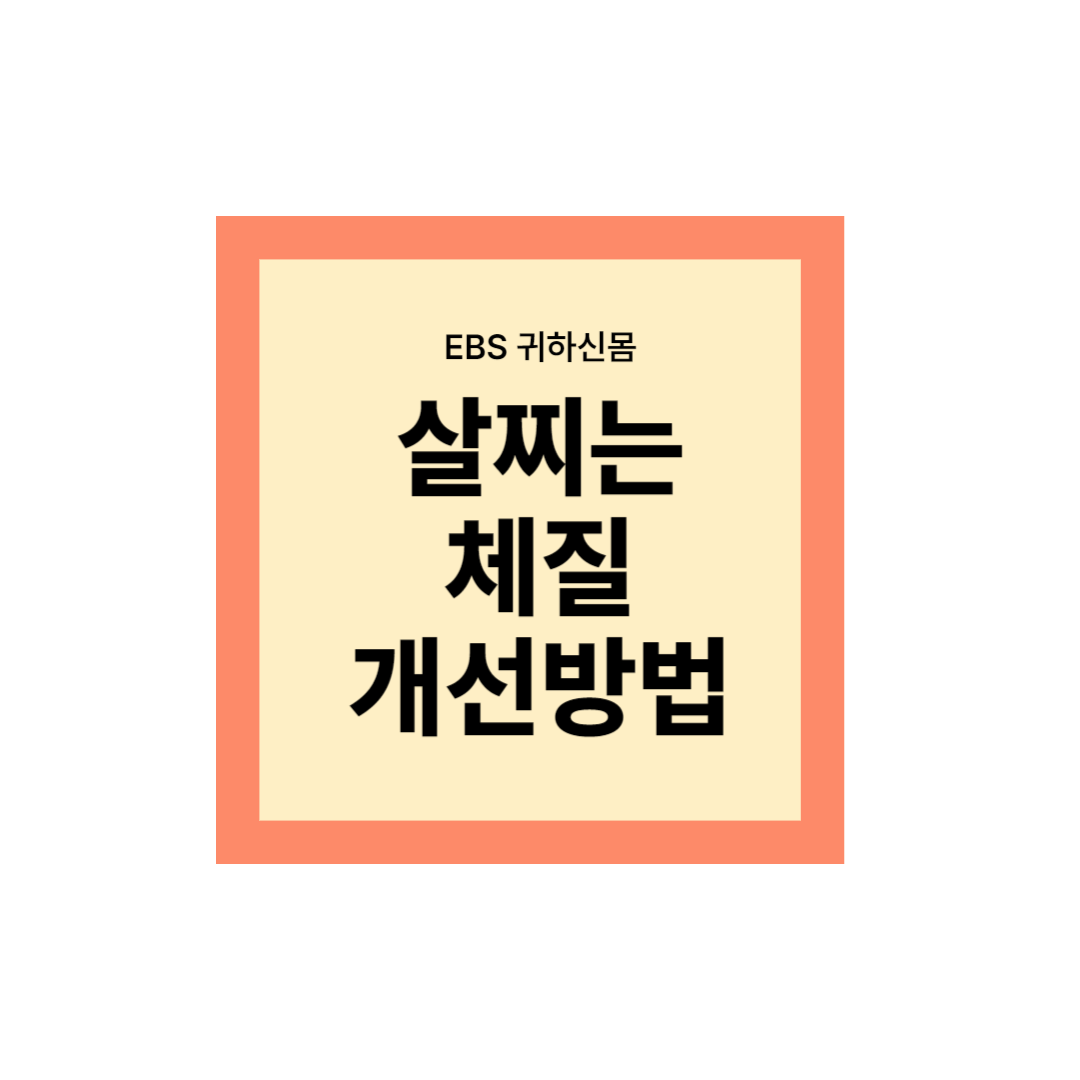 살찌는 체질