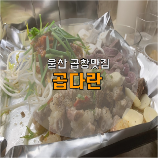  [울산 성남동 곱창 맛집] 곱창, 볶음밥 모두 맛있었던 곱다란 추천!