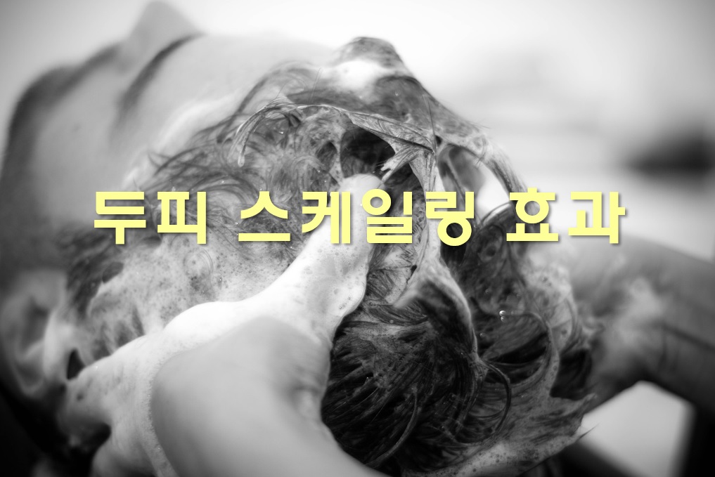  두피 스케일링 효과와 두피 스케일링 제품으로 샴푸 효능