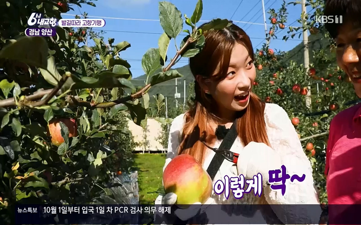 6시 내고향.E7630.221004p.H264-F1RST.mp4_20221004_213257.980.jpg