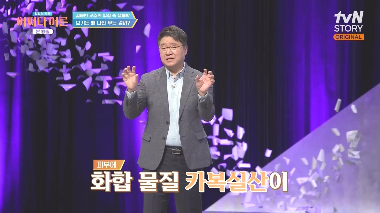 어쩌다 어른.E51.240410p-NEXT.mp4_20240410_173705.232.jpg