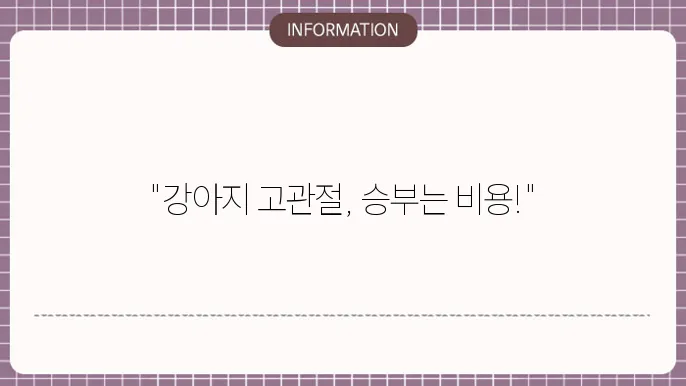 강아지 고관절 수술비용 - 비용 및 주의사항