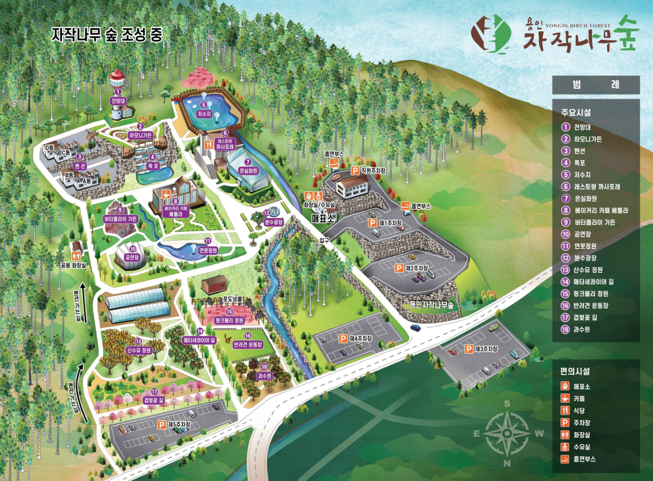 용인자작나무숲 산책코스